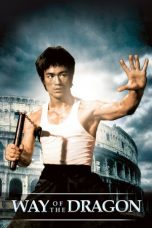 Bruce Lee: The Way of the Dragon (1972)